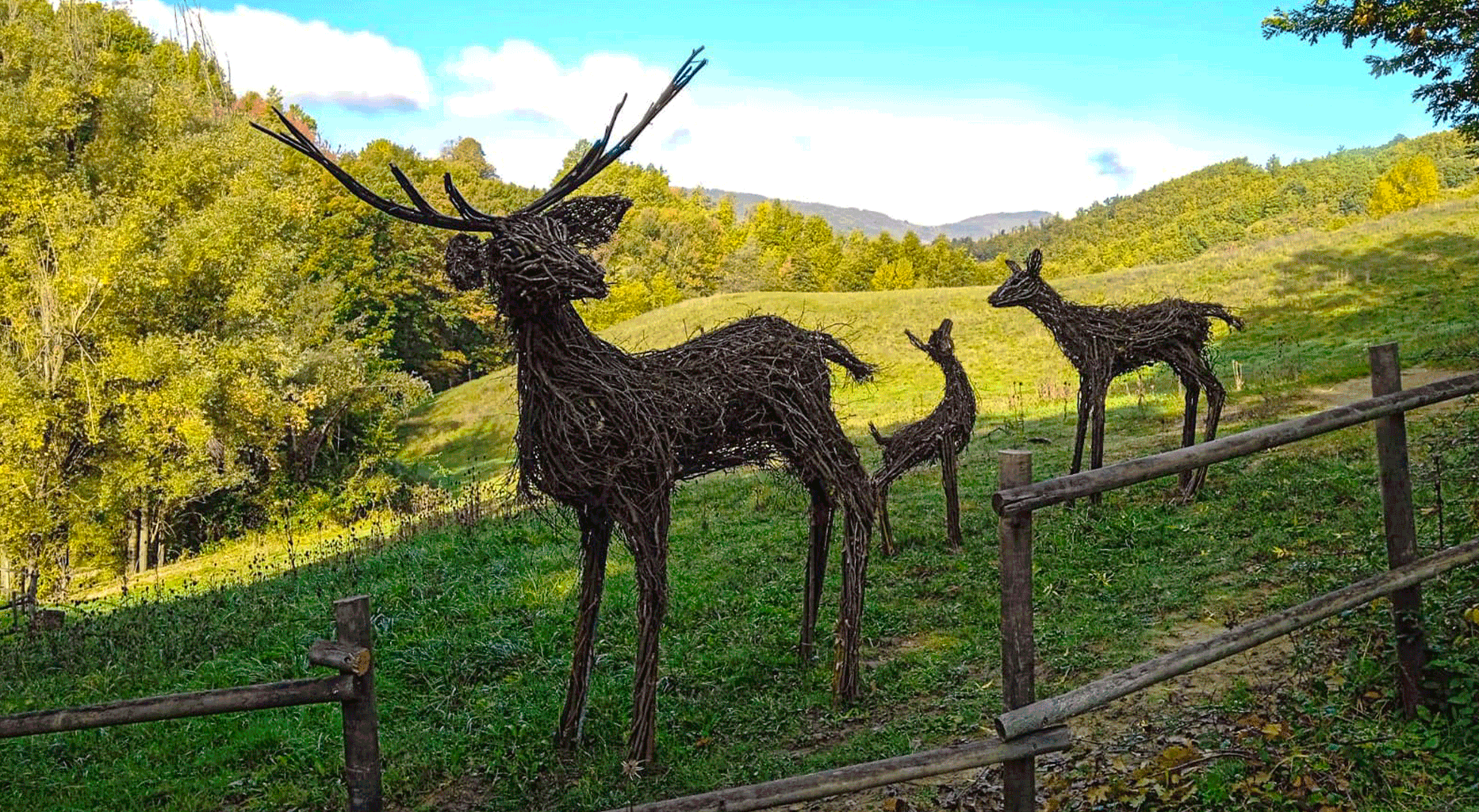 opera di legno 'Famiglia di Cervi' di Bologna Montana Art Trail